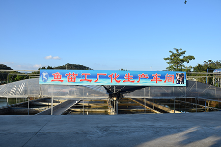 Guangdong Wulonggang Aquatic Science And Technology Development Co., Ltd.