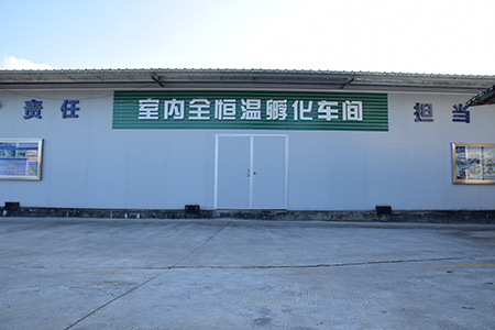 Guangdong Wulonggang Aquatic Science And Technology Development Co., Ltd.