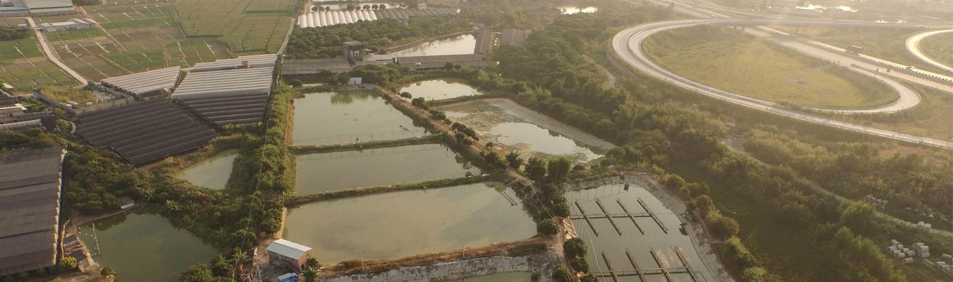 Guangdong Wulonggang Aquatic Science And Technology Development Co., Ltd.